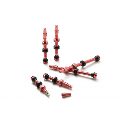 RIdeNow TUBELESS valve kit 65mm