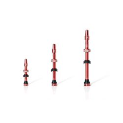 RIdeNow TUBELESS valve kit 65mm
